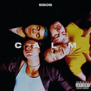 Cover voor 5 Seconds of Summer Old Me